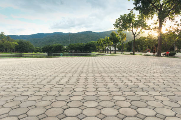 Best Paver Driveway Replacement  in Algoma, WI