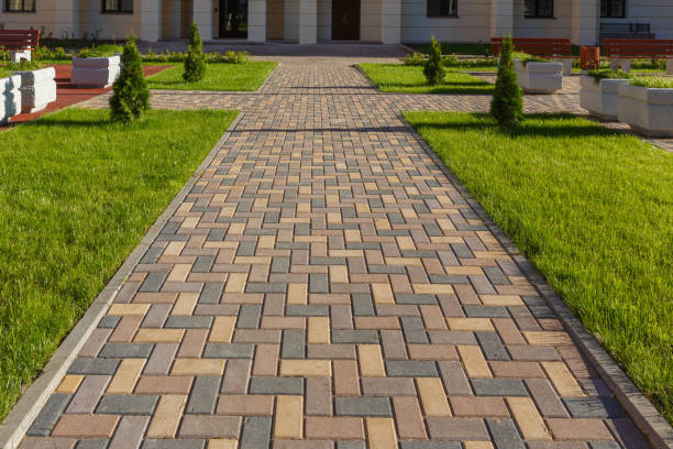 Best Local Driveway Pavers  in Algoma, WI